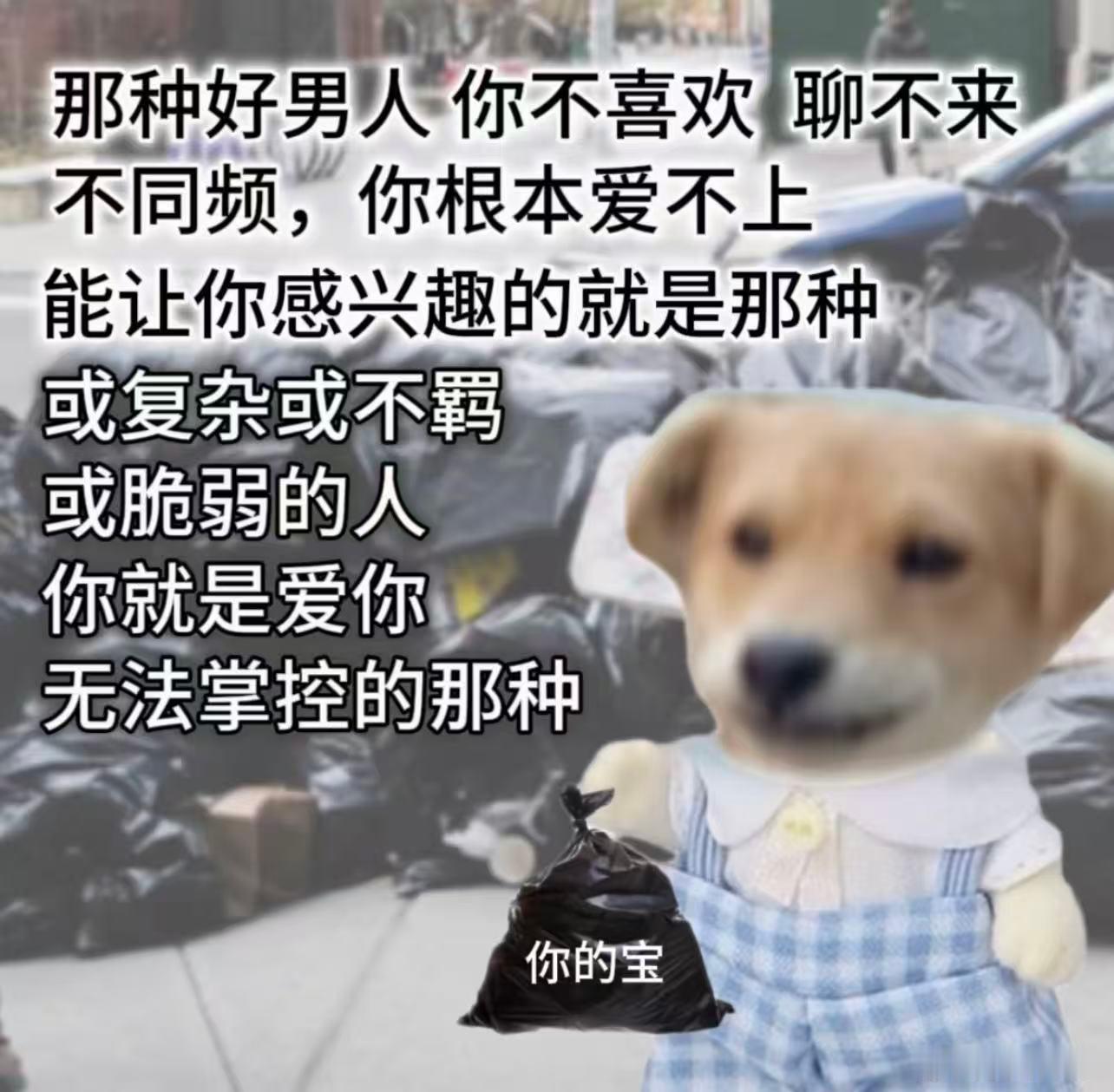 十二星座 射手座就是自己的感情世界空白的时候，他们也敢给别人当军师，关键是都还能
