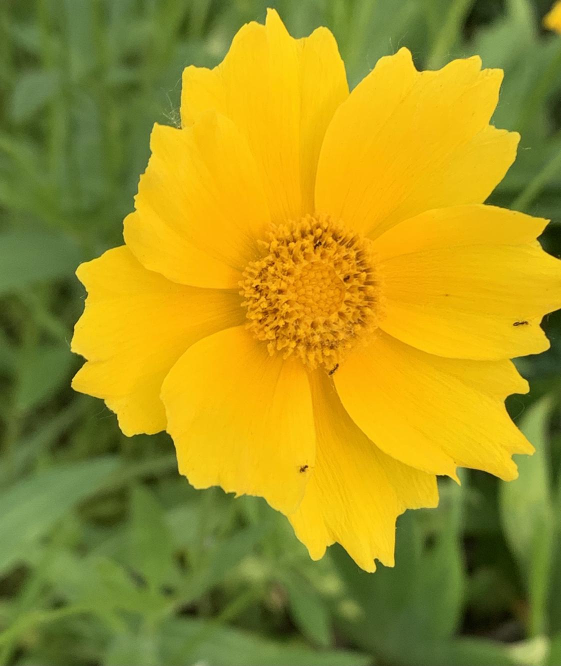 我的今日状态：😁轻松愉快
我这里的天气：☀️晴天