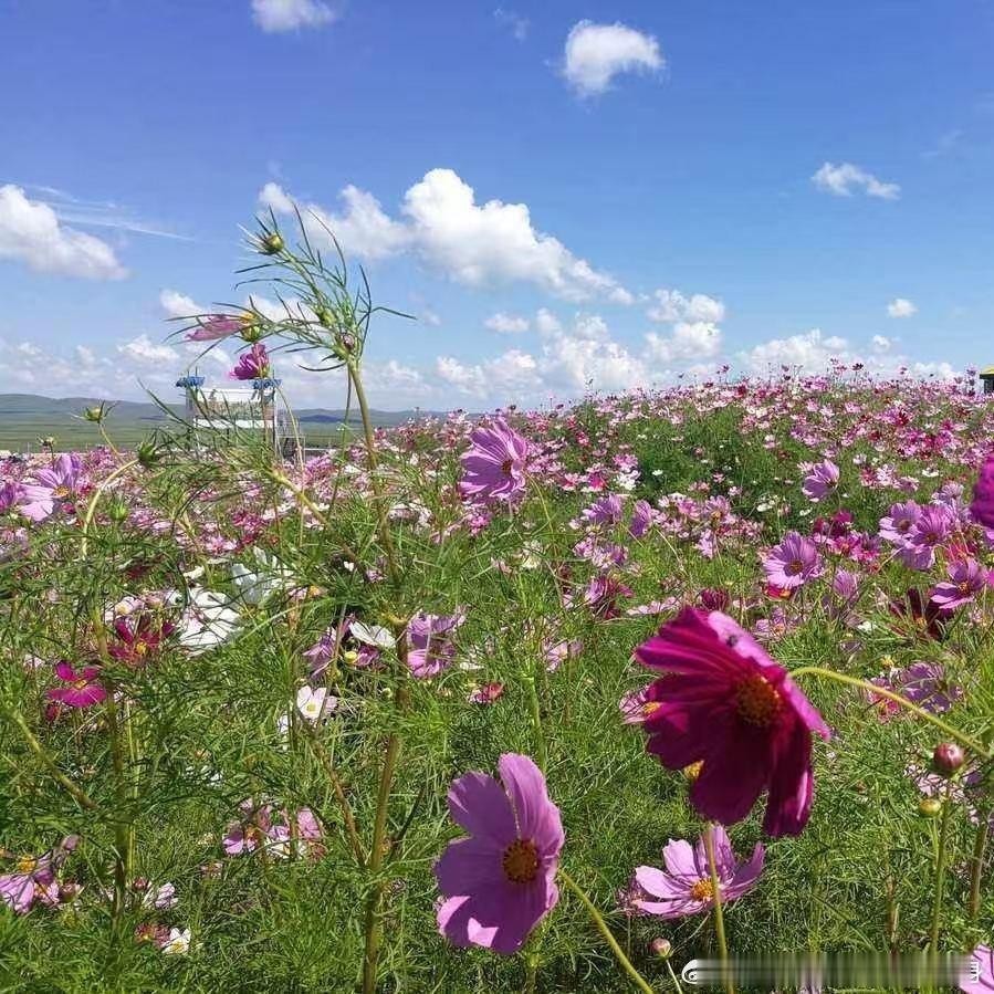生活皆是体验，体验便是人生！早安努力是一种人生的态度人生态度12月24日