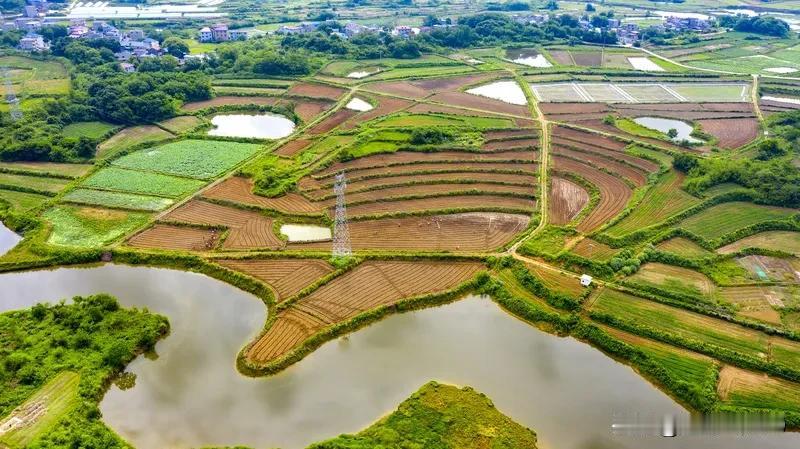 谁说农民占有土地资源没有好处？至少日常的粮食和蔬菜水果自己可以解决吧？鸡鸭鱼肉也