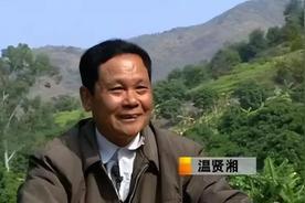 2003年，广东一老人为种植橄榄，不惜变卖家产，借债300万，还气走妻儿，成为人