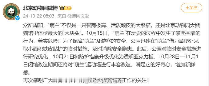 【#北动就大熊猫萌兰攀爬围墙发文#】#萌兰院内铁皮围墙已优化为透明板# 10月2