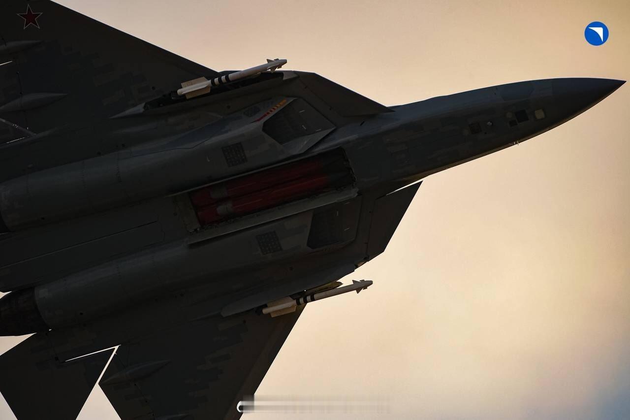 这就是为啥UAC官方放的开弹舱画面那么黑的原因：逆光拍的顺光角度倒是也能看到伸出