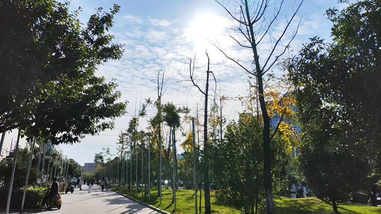 足球青训不能单打独斗！必须要得到教育部门的支持，体育成才这条路很难，所以足球青训