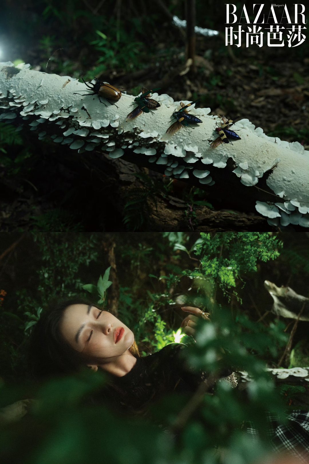 angelababy ｜杨颖 森林里的精灵公主 