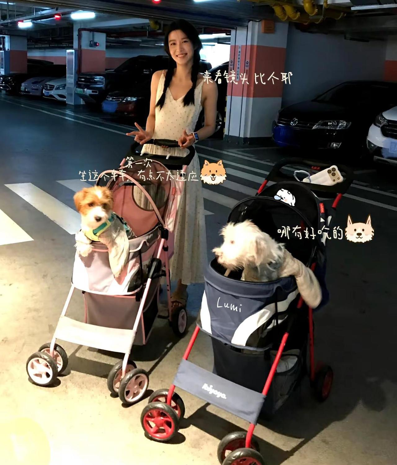 噜噜晓的对话（1）