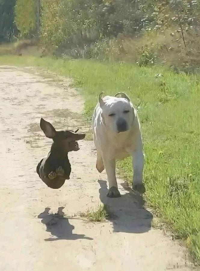 我们 ​​​