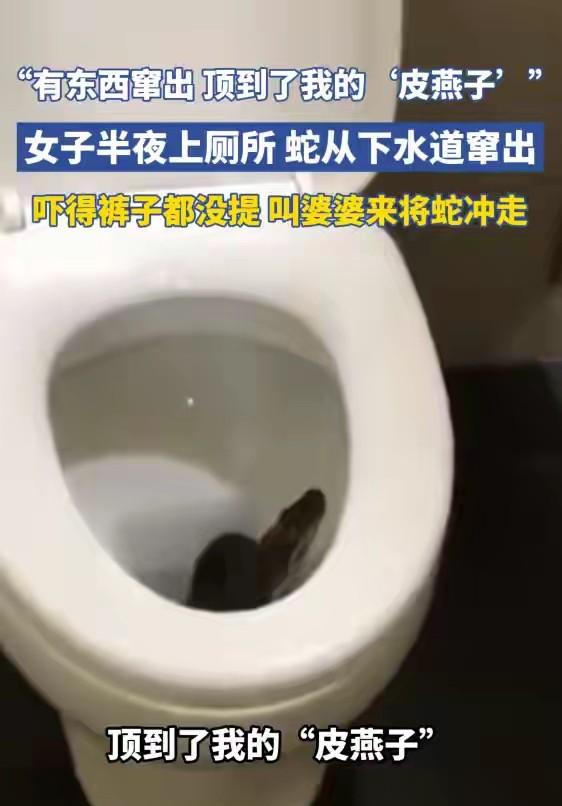 江苏无锡一户老小区一楼住户，上月11号晚上11点多发生怪事。女子半夜尿急去厕所，