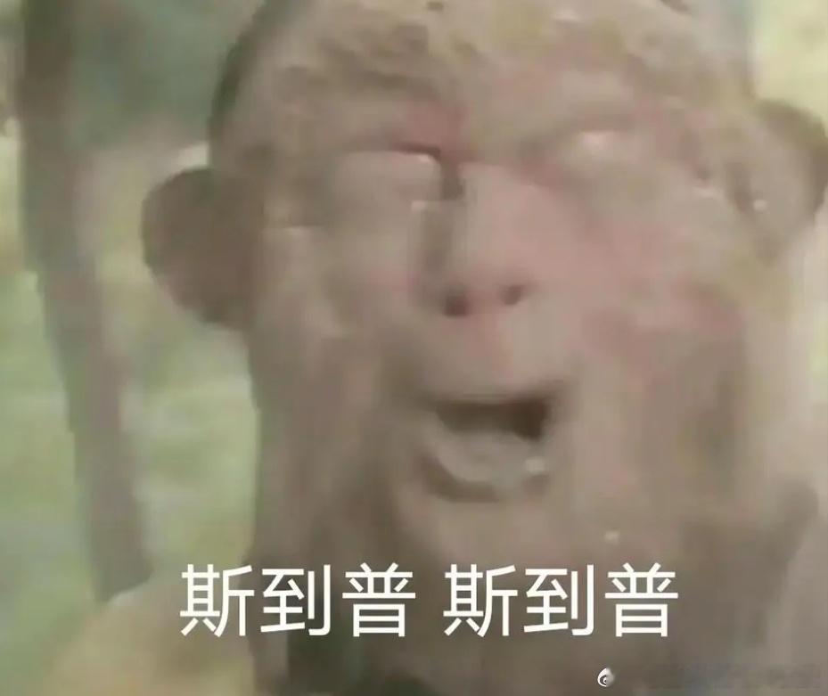 有没有同学觉得夏天穿衣服颜色还怪挑剔的嘞。[允悲]为了避免被蓟马缠上，去公园户外