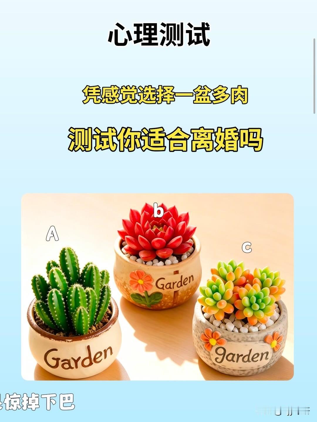 凭感觉选择一盆多肉
测试你适合离婚吗