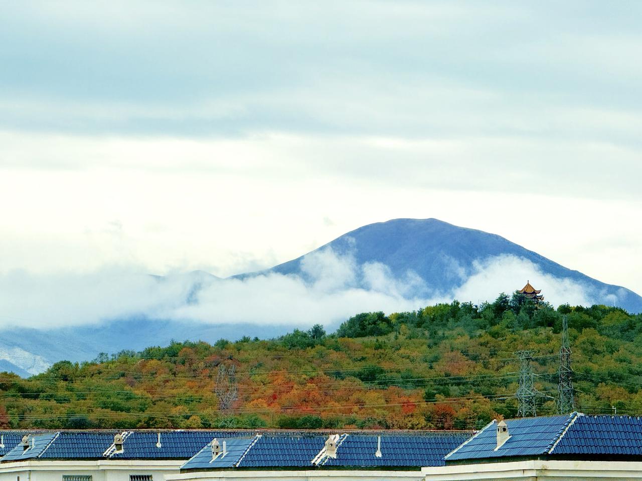 南华山秋韵——阳台掠影
连阴雨下了十来天，气温由十七八度突降到四五度，咋寒来到，