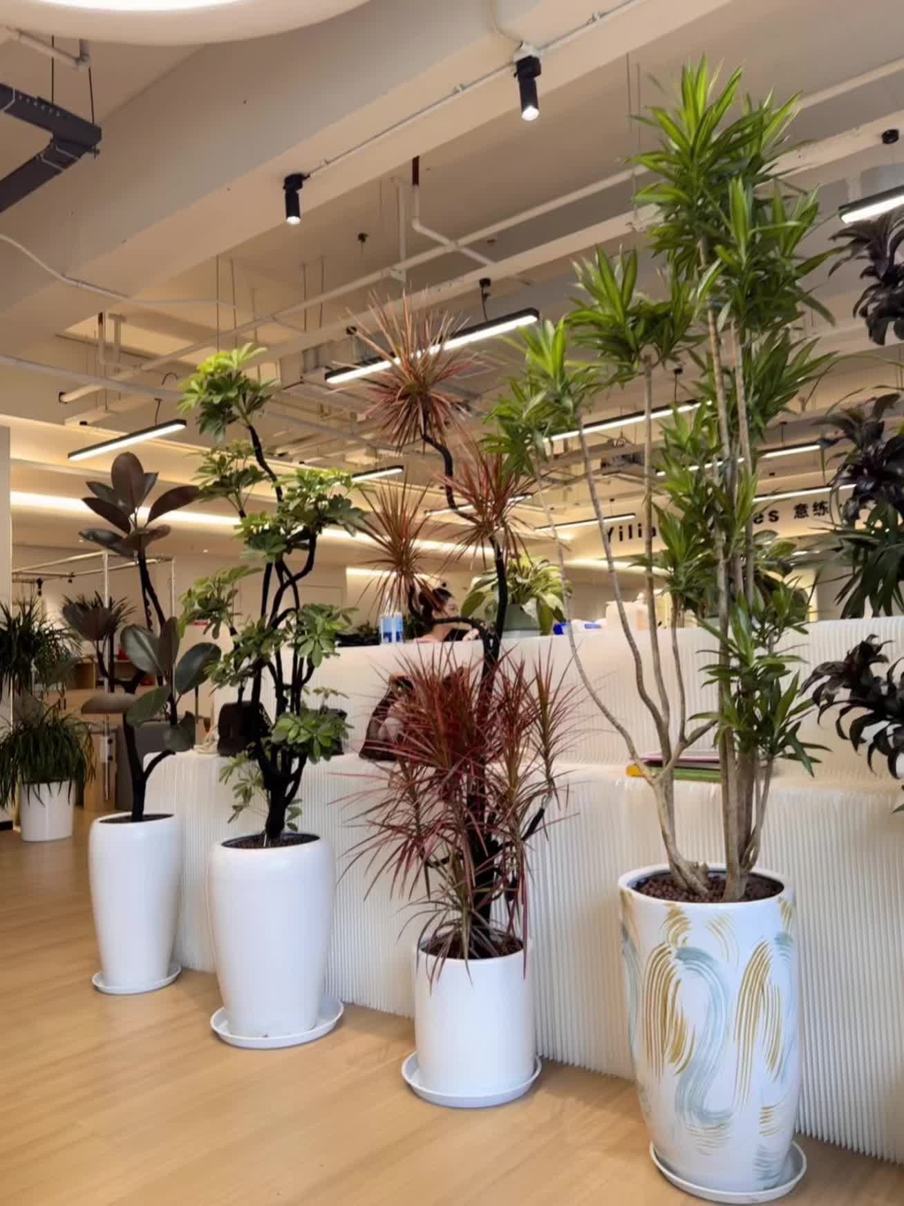 让绿植带来新鲜空气 让小店焕然一新