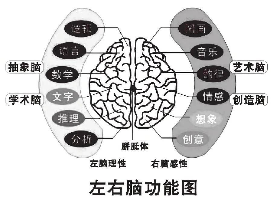 【双休】
         今天看头条，很多人在头条讨论双休的问题。原来，很多地