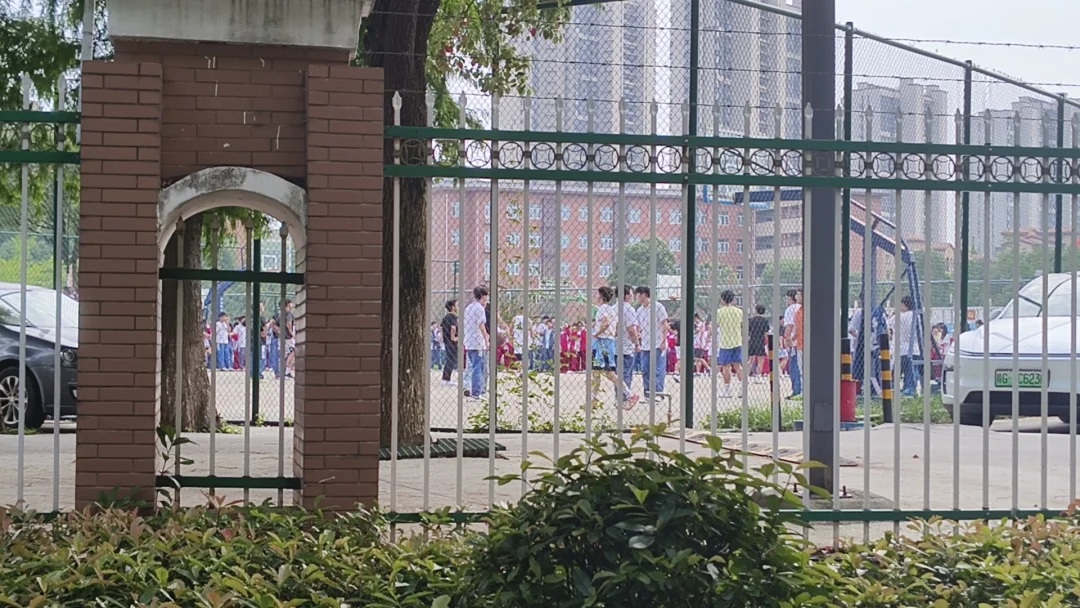围栏内又是谁的青春