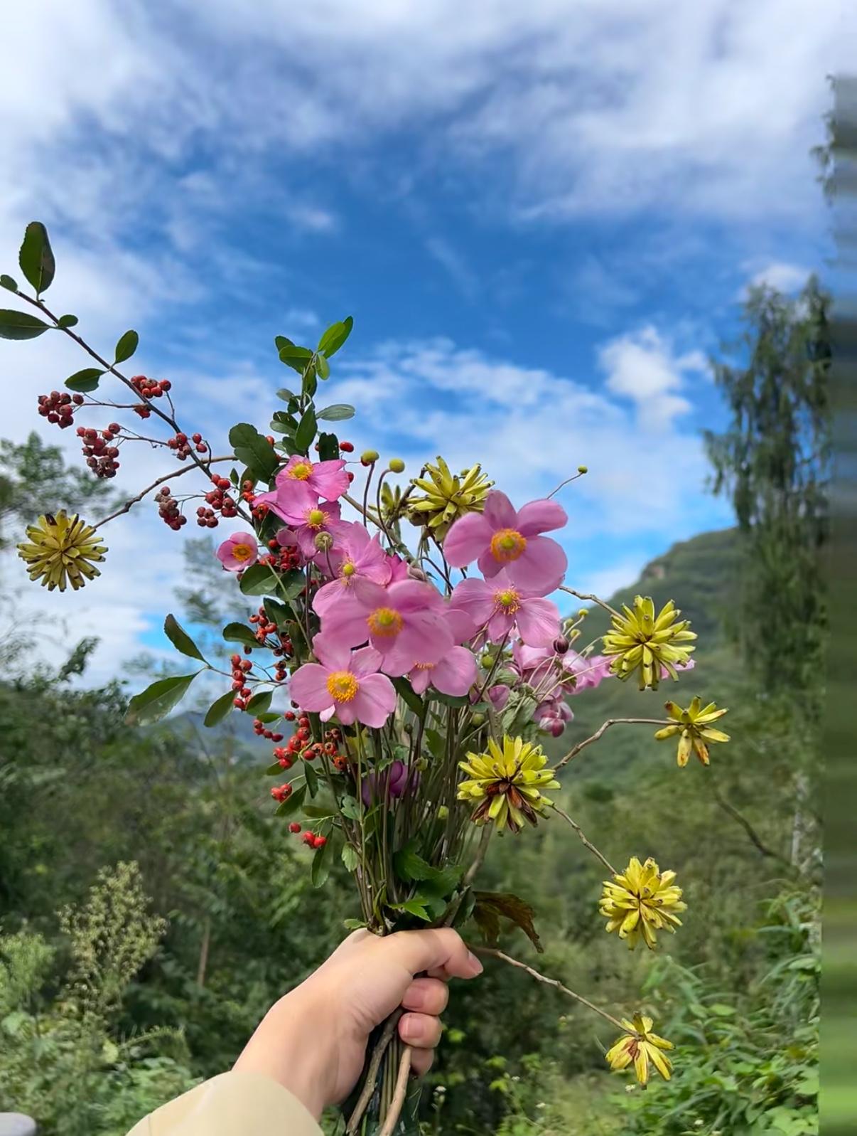 绝美花朵随手拍很喜欢这种松弛感，不必追赶时间，此刻的松弛与山野，就是最好的礼物，