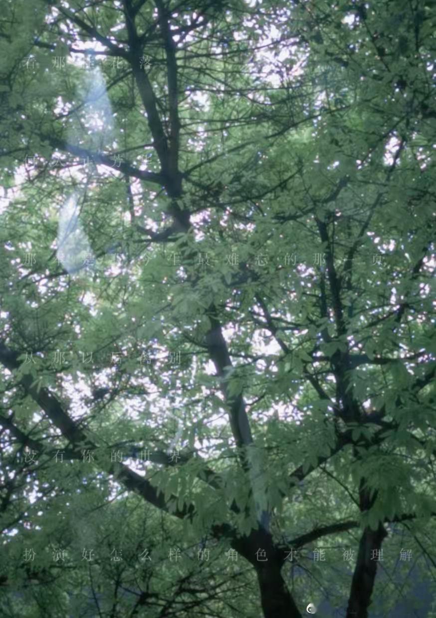 张子墨 我的天 才发现图片上竟然藏字了 应该是新歌歌词 馍馍下次藏明显点好吗..