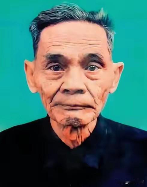 1988年，谢汉光在回到老家的过程中，发现妻子已经儿孙满堂，误认为妻子已经改嫁，