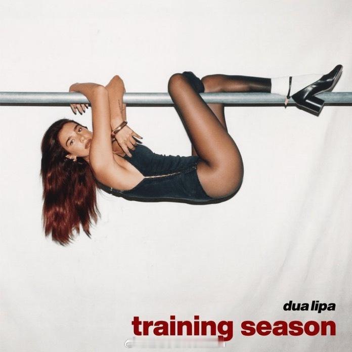 📈 Dua Lipa单曲《Training Season》单日收获 141.2