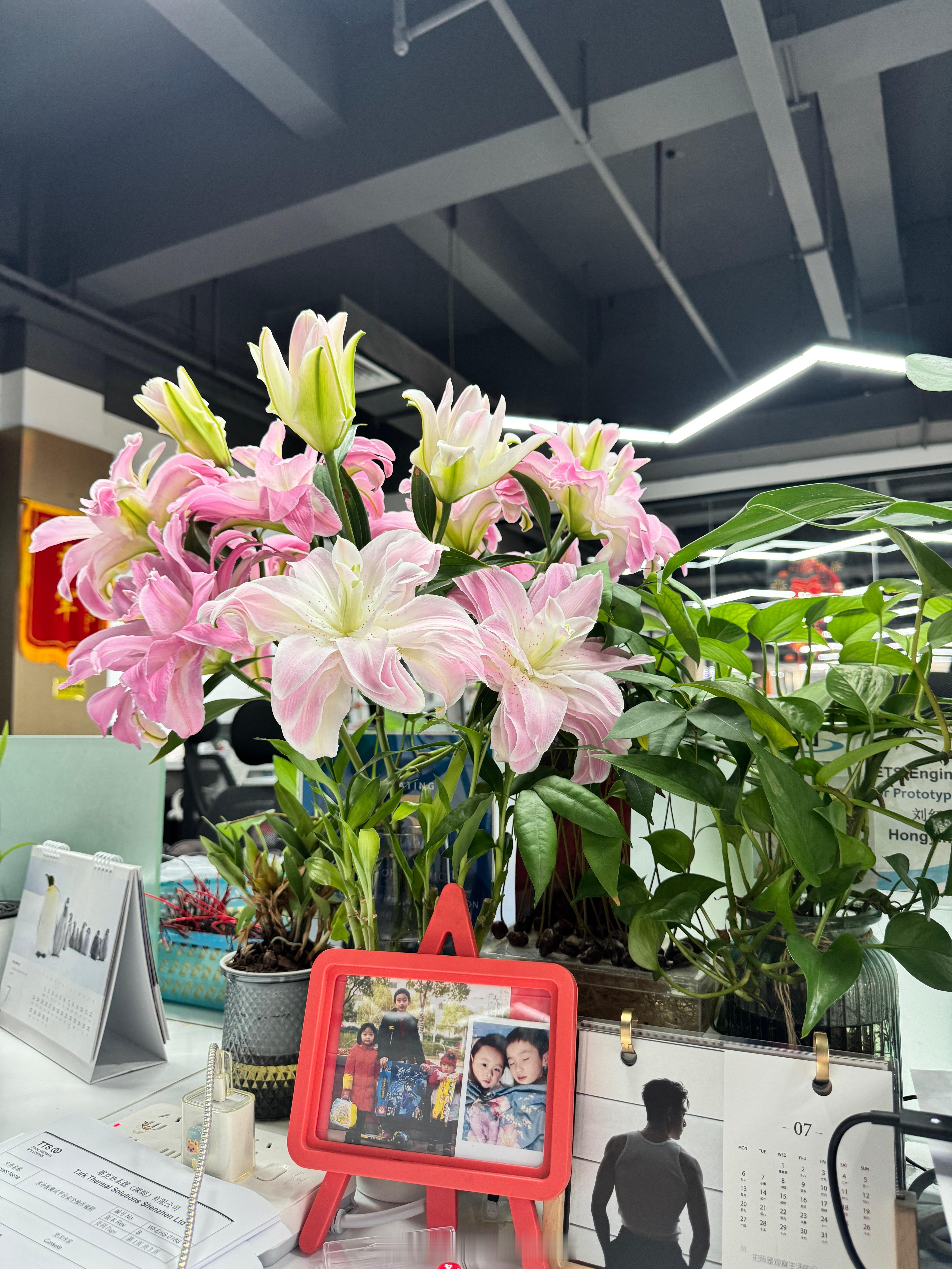 香迷糊了，整个办公室都是花香 深圳