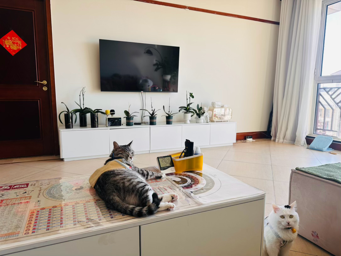 《That eye》汽水音乐 That eye-congnamoo 网页链接「汽