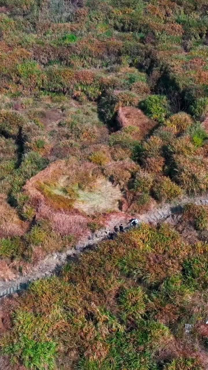🌿黄南古道藏在临海的冬日里，这条曾是浙东重要商贸通道，如今成了徒步吸氧的宝藏地