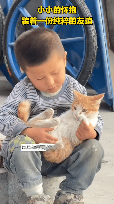 小朋友紧紧抱着怀里的小猫，简简单单的一幕，看完心里一下子就变软了
 
不知道有没