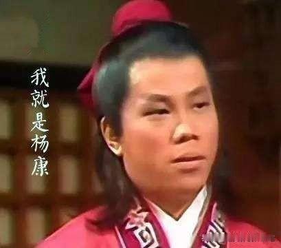 《射雕英雄传》中杨康的出场年龄是十八岁，下面哪个男演员与之年龄最接近呢？哪一版本