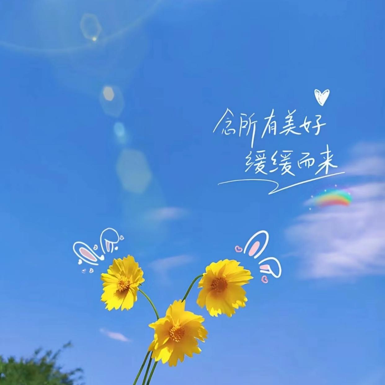 父母不在了,亲戚还走动吗?我感觉能走动就走动，现在本来亲戚就少，人情也淡薄，如果