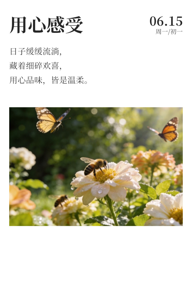 早安 ⛈️每日早起打卡  愿你如向阳而生的向日葵，永远追着光亮前行，不叹世事、不