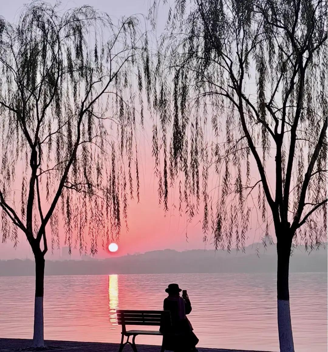 广西巴马的百岁老人每天清晨绕着田埂走半小时，再慢悠悠打一套太极，动作不快却稳稳当