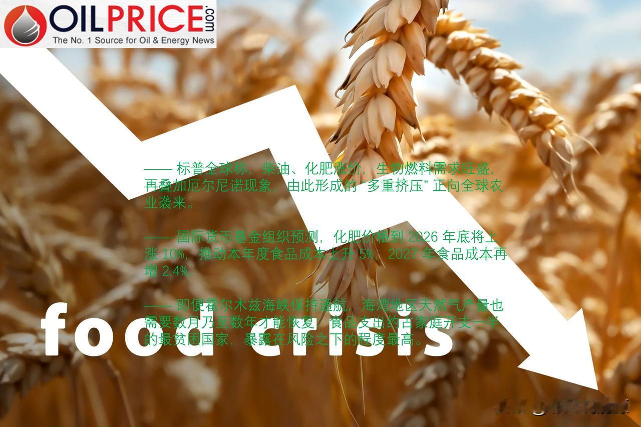 标普全球警告：霍尔木兹能源冲击或演变为全球粮食危机

当前全球能源危机正迅速转变