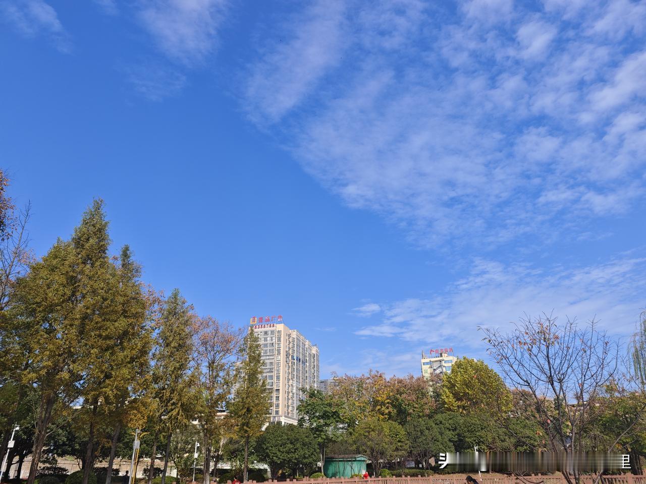 一对普通人的普通恋爱，我结婚了，但也觉得自己和伴侣只是普罗大众微不足道的一个小家