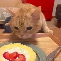 猫咪通常不会有想吃人的想法。

从进化和天性来看，猫咪虽然是肉食性动物，但其体型