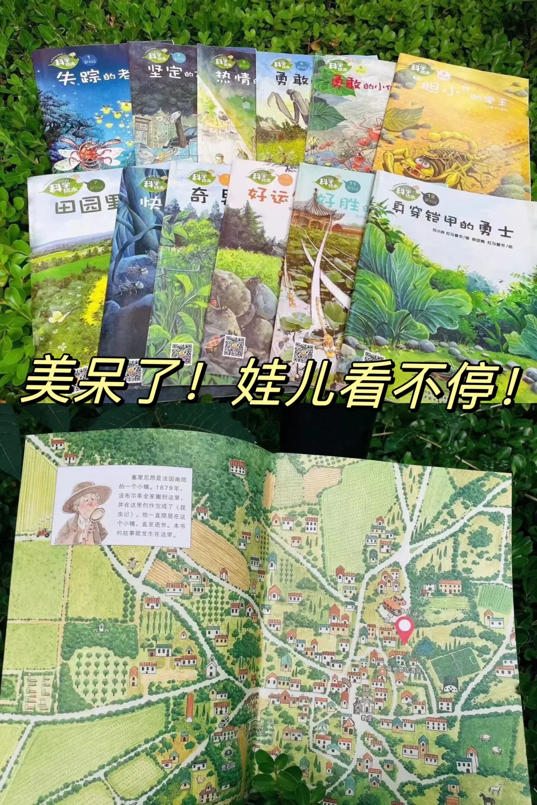 昆虫科普天花板，娃儿被硬控一晚上😂