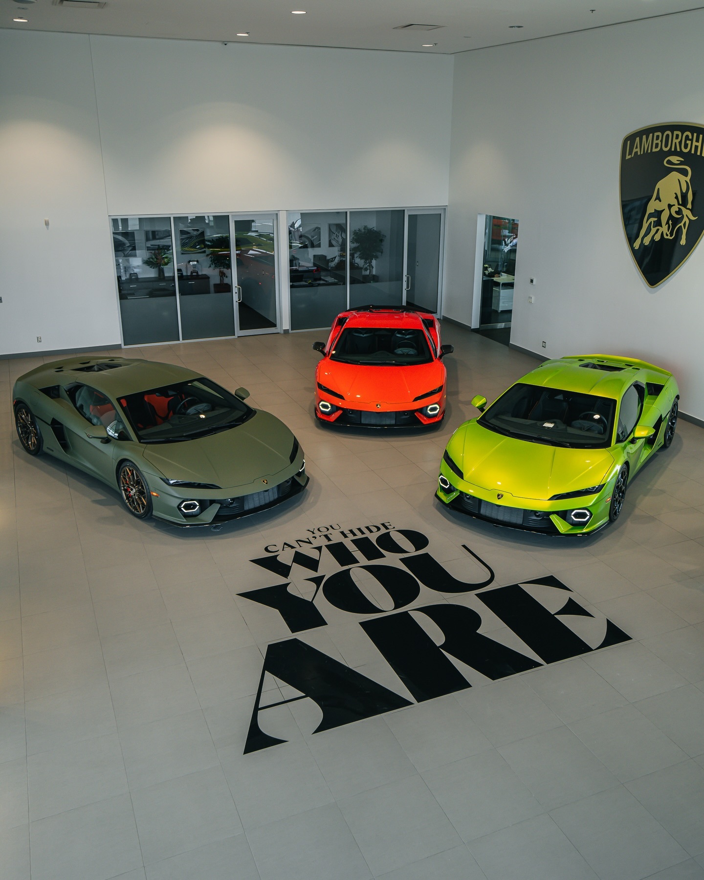 全新小牛是不是越看越帅？ 