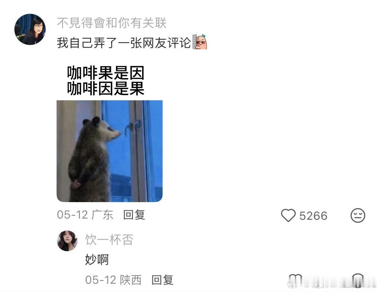 谁能拒绝一只负鼠呢一身蓬松绒毛，小短腿蹒跚挪动，受惊就装死的小负鼠蠢萌又乖巧，细
