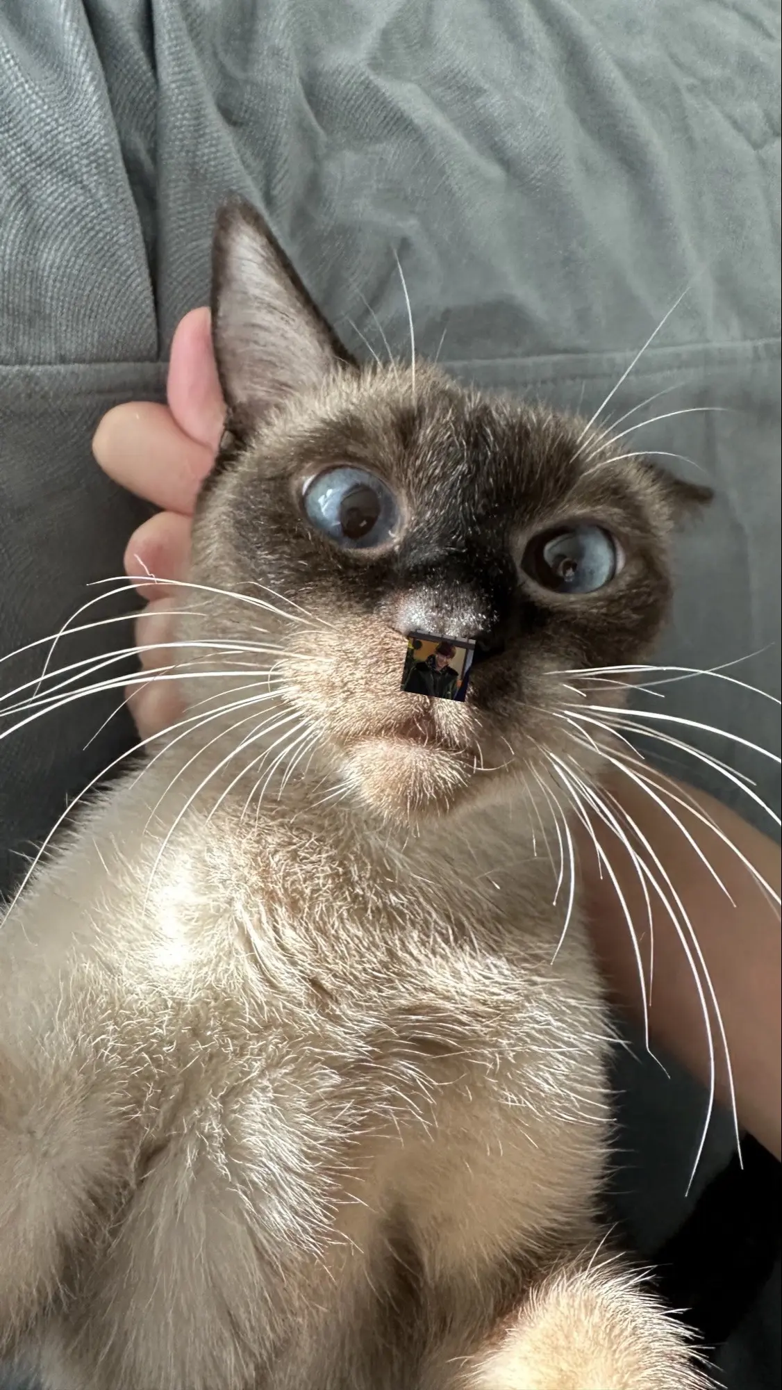 🎂𝗛𝗕𝗗 𝘁𝗼 𝗺𝘆 𝟯! 也是轮到我们天秤过生日啦...