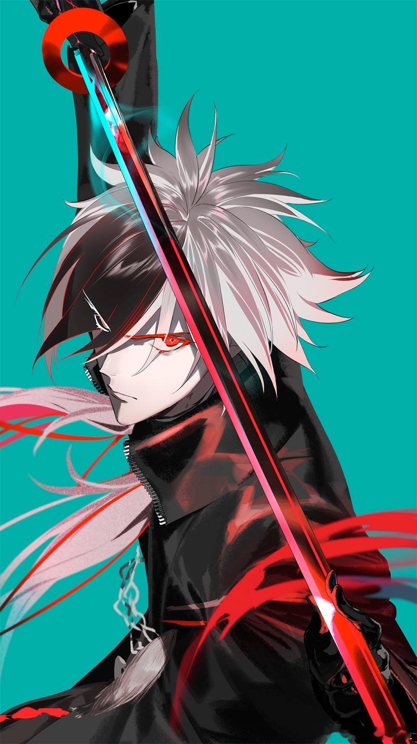 FGO 黑之剑士illust：pako 