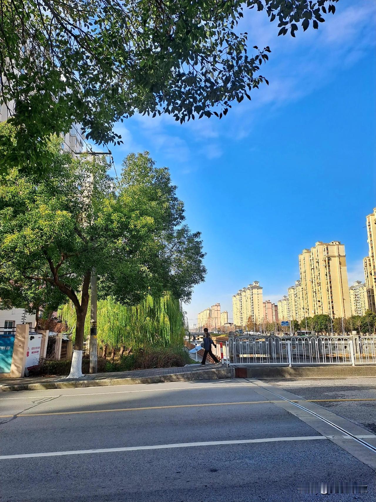 晒图笔记大赛蓝天白云下的鲁建路