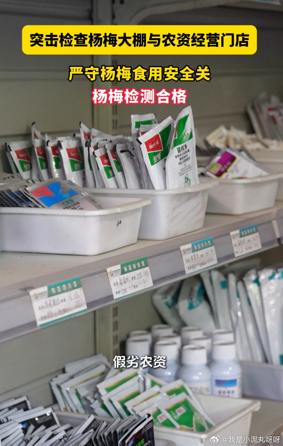 丽水莲都杨梅当场检测安心看得见正宗农场直供杨梅，新鲜刚从果园运送过来🍒现场直接
