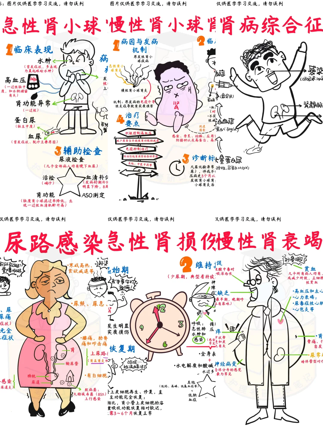 📒医学生笔记｜泌尿系统大合集✅干货收藏