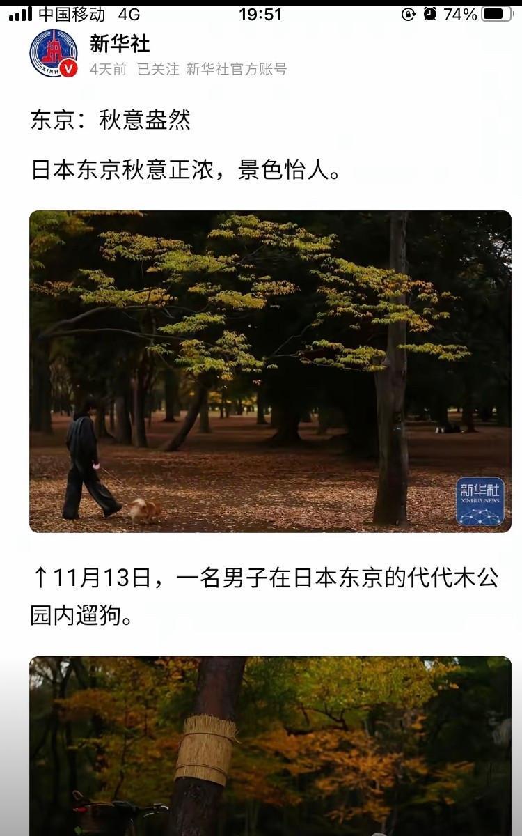 央媒记者日前在东京代代木公园，拍摄一组秋色视频，引发了网络不少讨论。
 
公园里