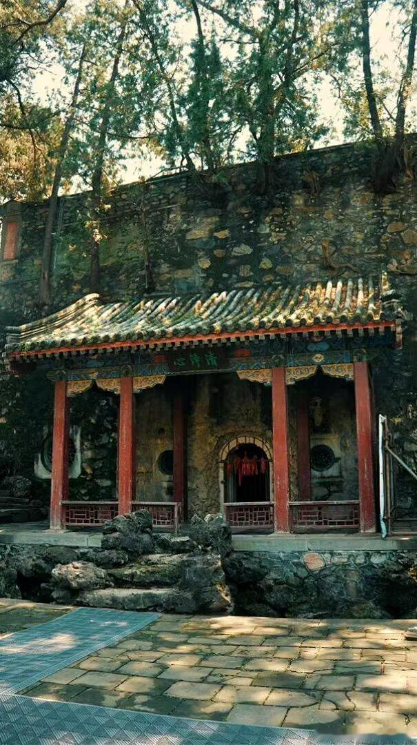 有一天你会明白，善良比聪明更难。聪明一种天赋，而善良是一种选择。善良是最基本的可