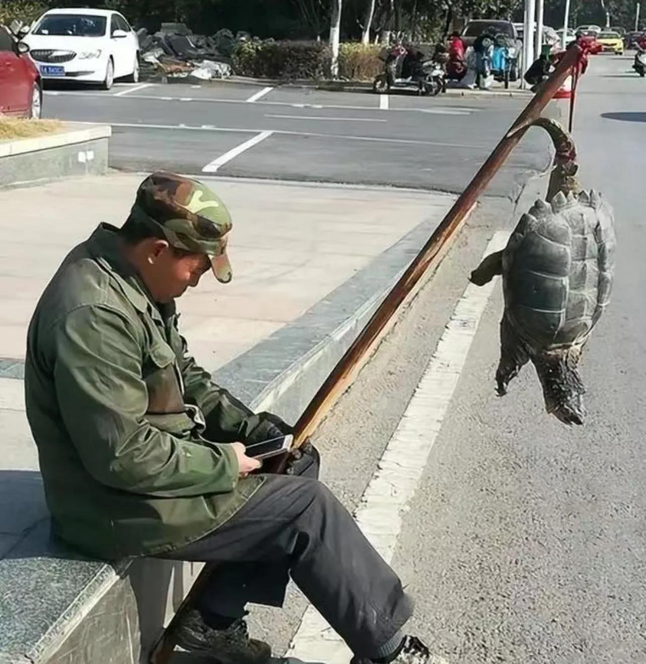 你经常在街头看到的一些穿着打扮成农民服装，用一根扁担挑着一只老龟，自称是在工地上
