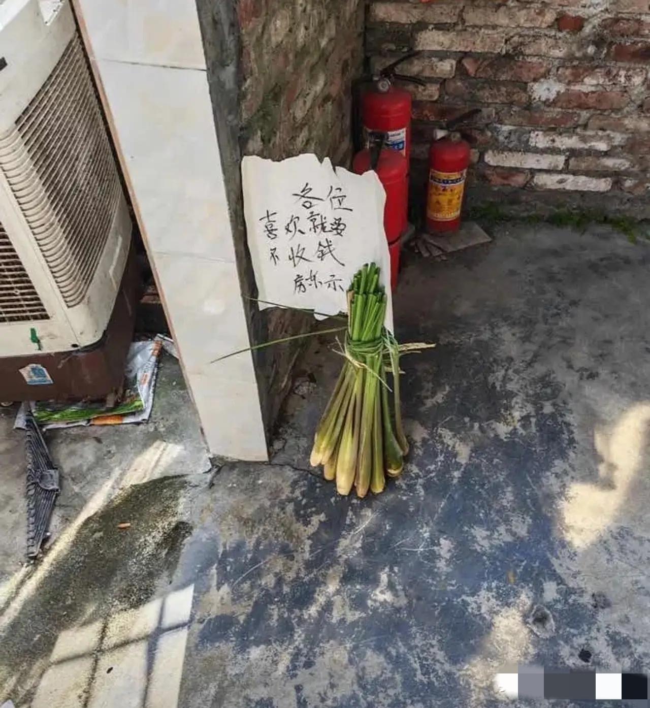 中国好房东，没有之一！
碰到这么好的房东，谁还愿意搬家呀！[赞]