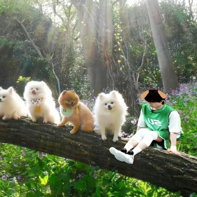 【4801】妈咪可以再讲一次从一堆小狗中选中我的故事吗🥺 