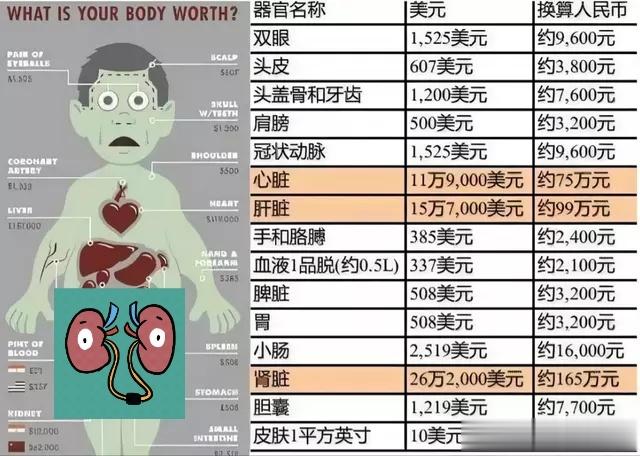 你的肾最值钱，只有一个[衰]一动就一身大汗，一X生活就睡不着，一喝水就不停上厕所