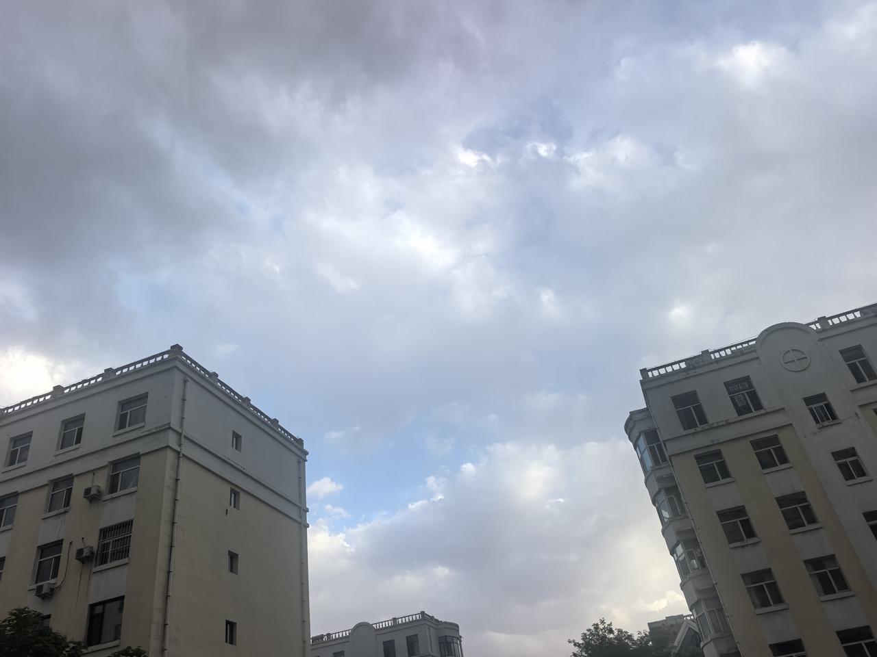 大风，阴天，就是没雨。
接连刮了几天，堪比春天的风，沙尘肆虐。
如果有场雨就好了