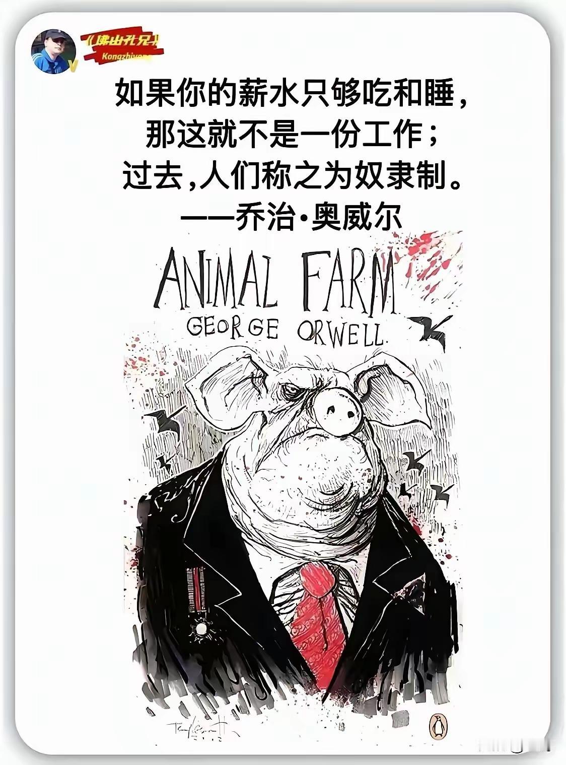一针见血！
