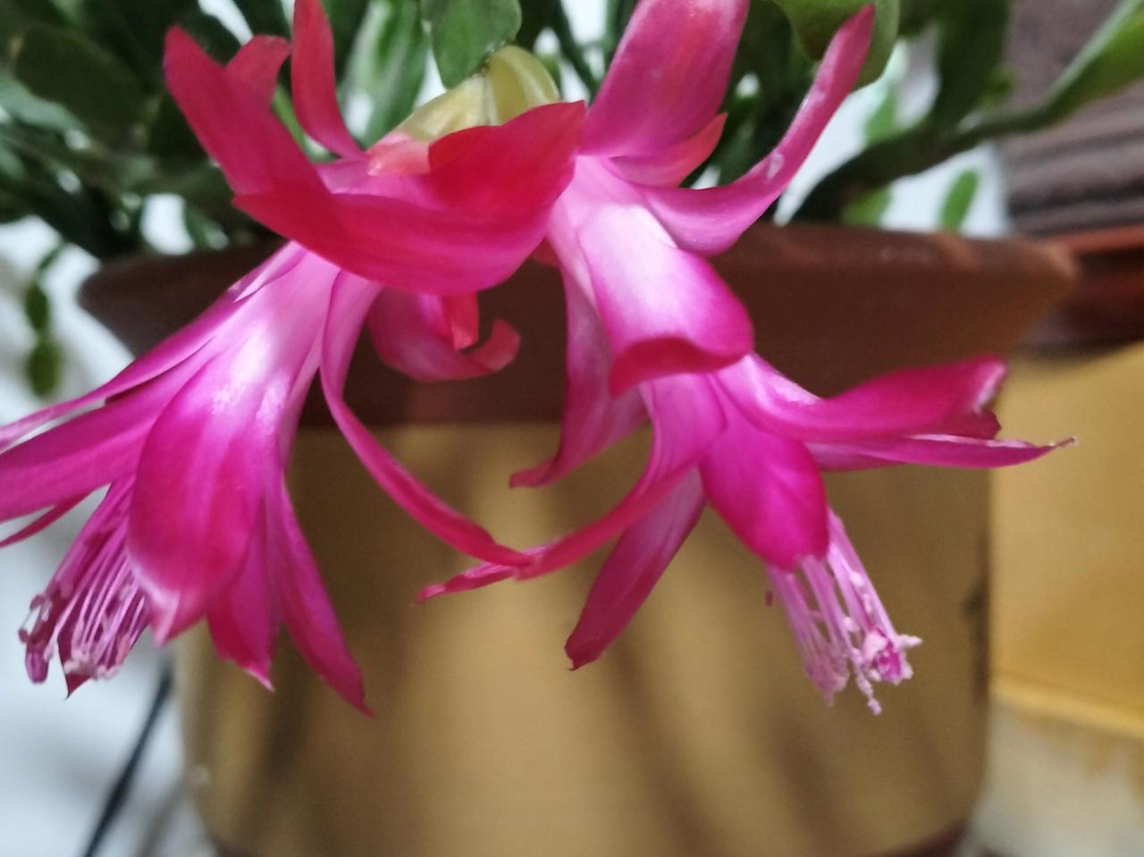 我们要认清一个现实
当你对人有价值的时候
都会拿你视若珍宝
一旦失去自身价值
